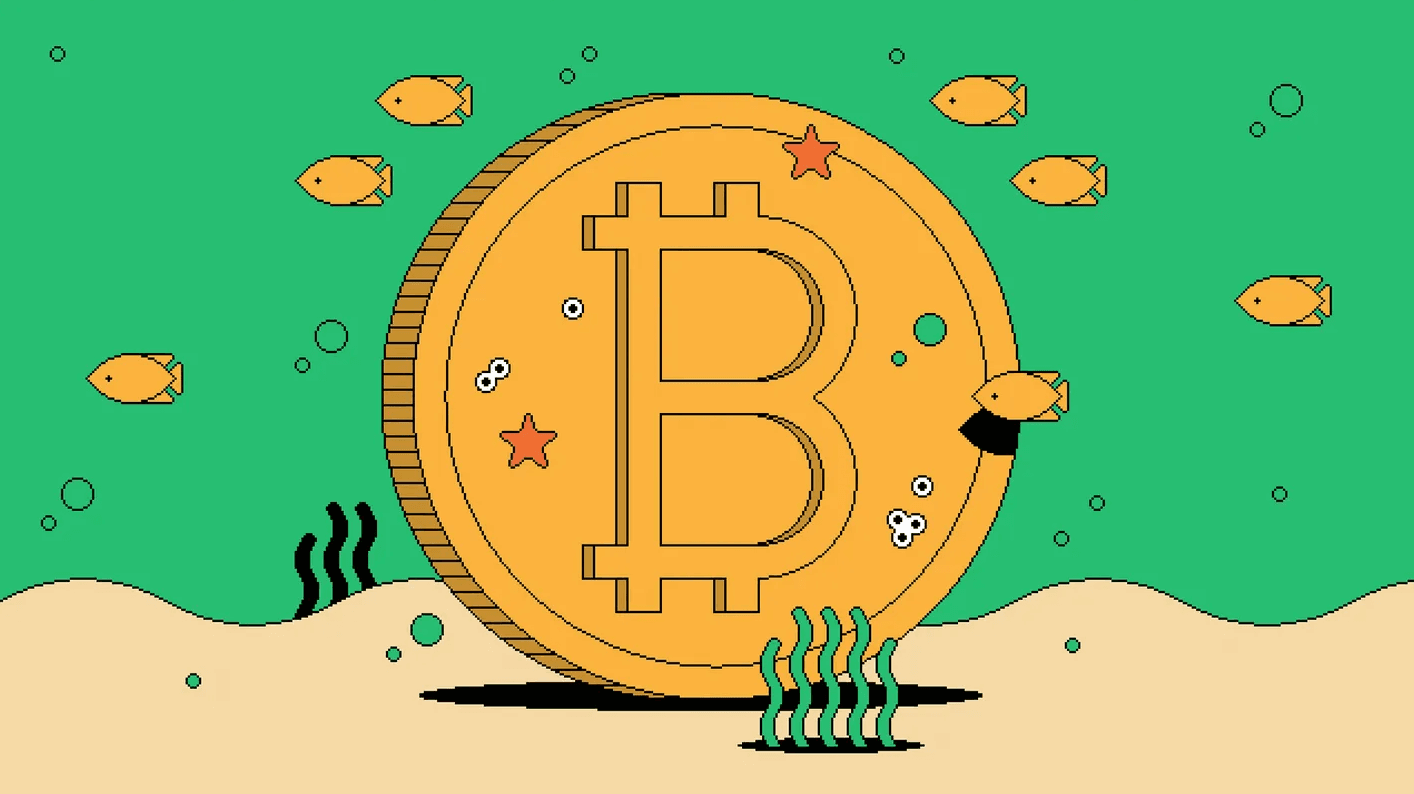 bitsbitcoin-launches-new-designed-website